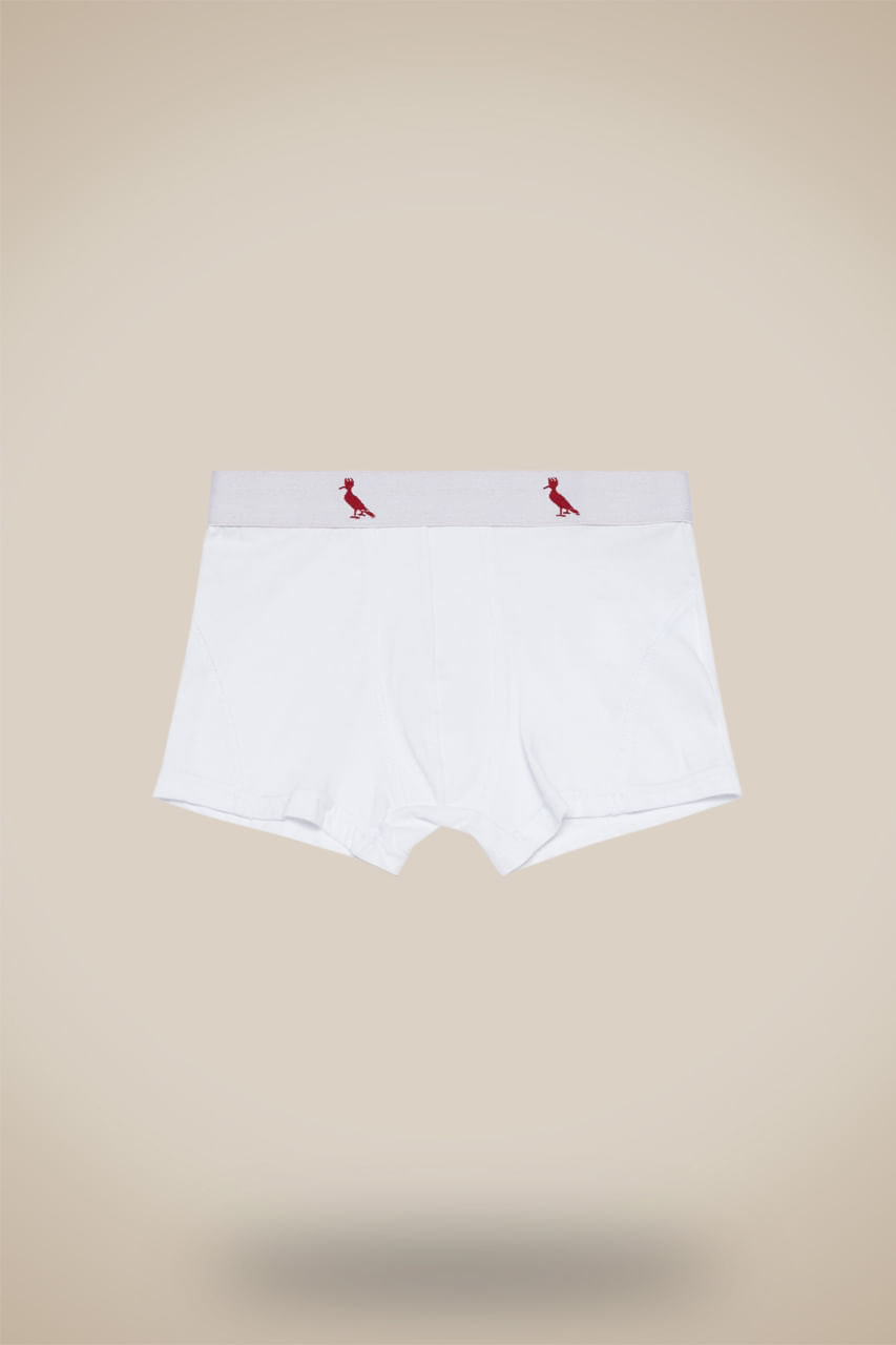 Cueca Cont Mini Boxer Algodao, cor BRANCO