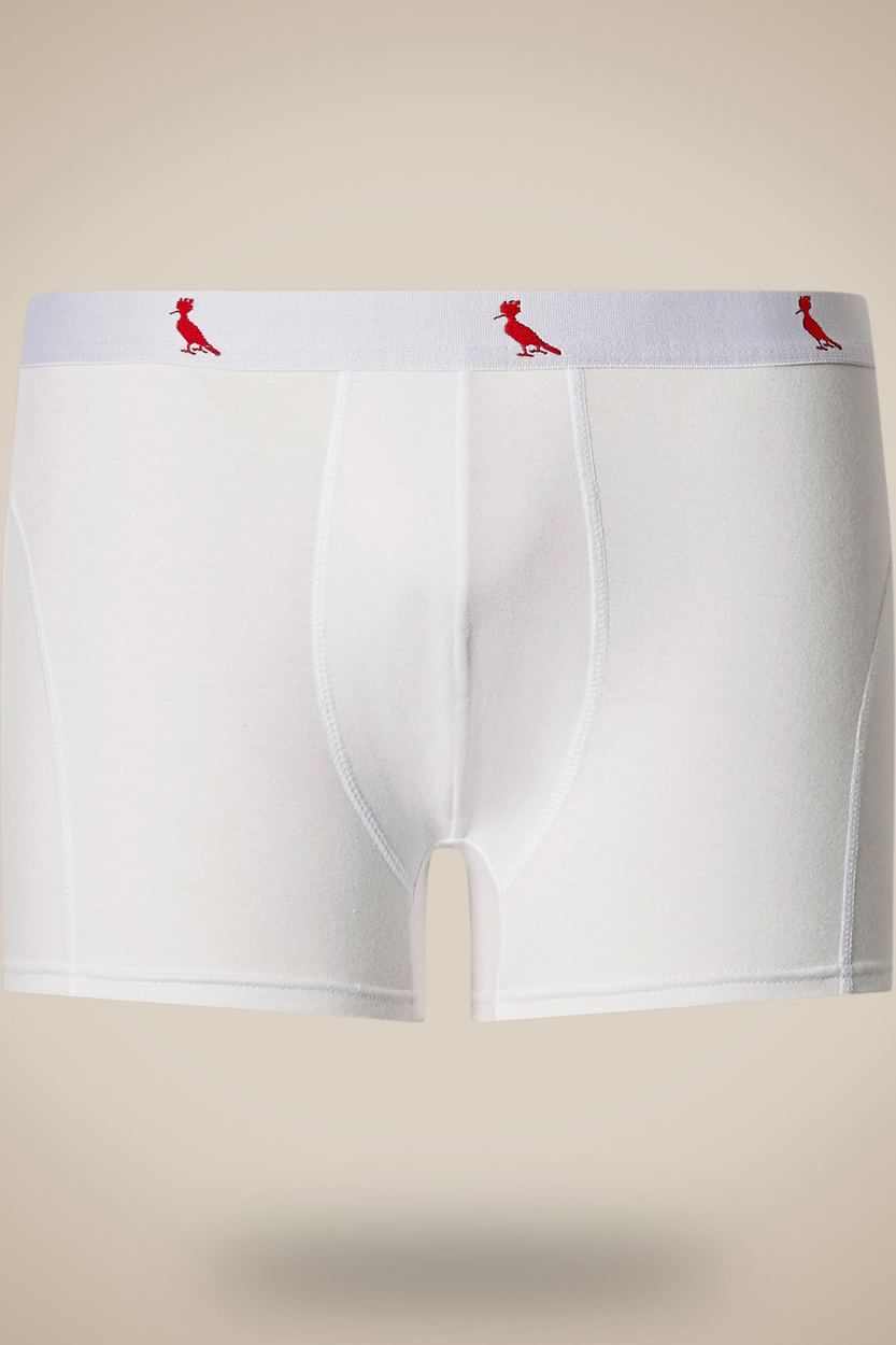 Cueca Boxer Algodão Reserva, cor BRANCO