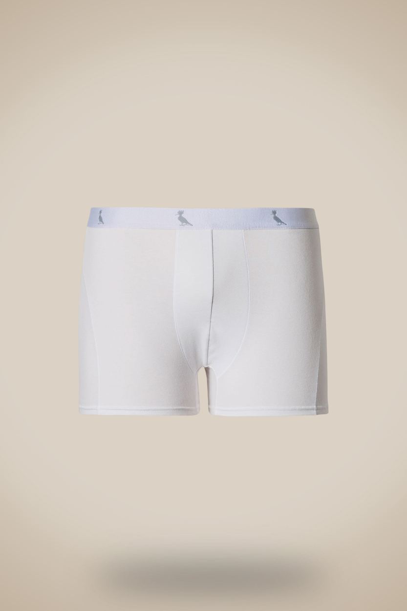 Cueca Surton Boxer, cor BRANCO