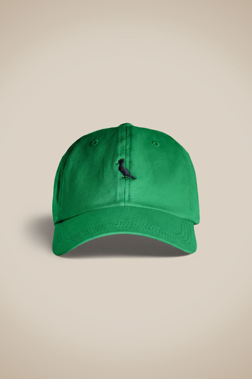 Bone Sarja Color Bordado Pica-pau, cor VERDE BANDEIRA